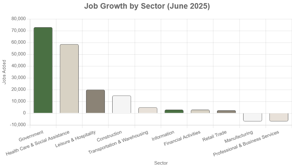 Bar chart depicting job growth in June 2025: Government (+73,000), Health Care & Social Assistance (+58,600), Leisure & Hospitality (+20,000), Construction (+15,000), Transportation & Warehousing (+5,000), Information (+3,000), Financial Activities (+3,000), Retail Trade (+2,400), Manufacturing (-7,000), Professional & Business Services (-7,000).